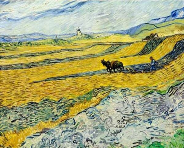 Feld mit Bauer beim Pflügen und Mühle – Van Gogh Vincent Van Gogh 85x75