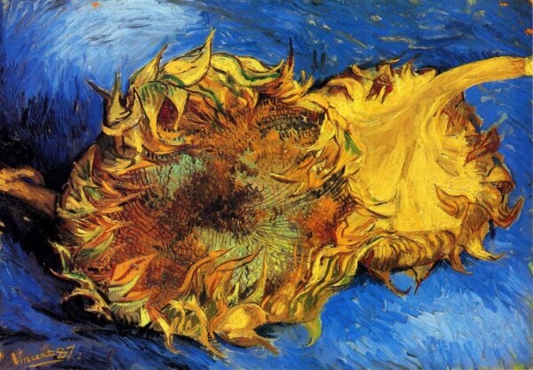 Zwei abgeschnittene Sonnenblumen – Van Gogh Sonnenblumen-Serie von Vincent van Gogh 105x70