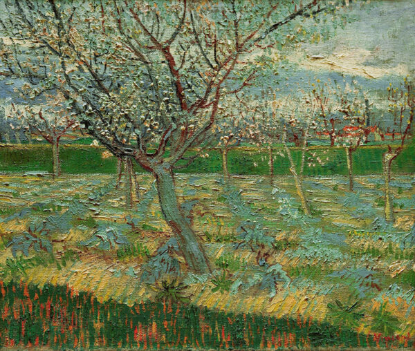 Blühender Obstgarten – Van Gogh Vincent Van Gogh 85x75