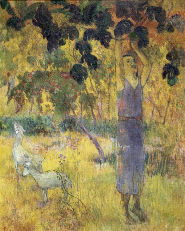 Mann, der Früchte von einem Baum pflückt – Paul Gauguin Paul Gauguin 70x85