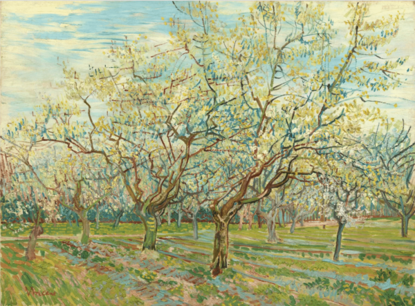 Der weiße Obstgarten – Van Gogh Vincent Van Gogh 85x75