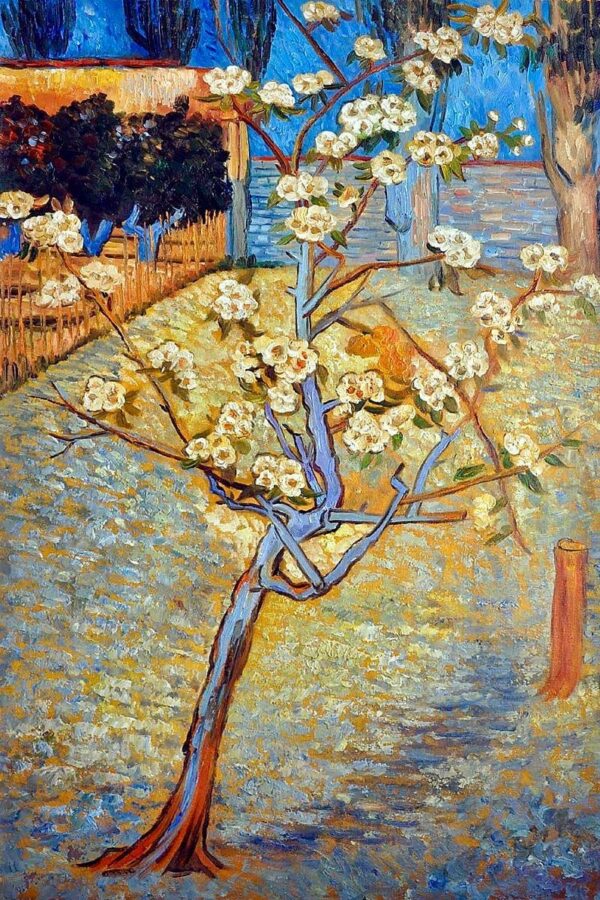 Blühender Poirier – Van Gogh Vincent Van Gogh 70x105