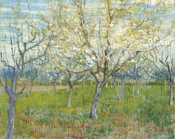 Der rosafarbene Obstgarten – Van Gogh Vincent Van Gogh 85x75