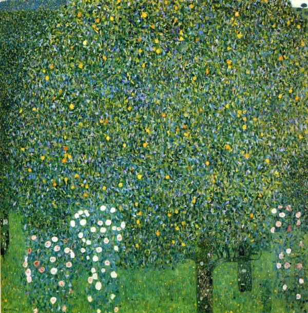 Rosengärten unter den Bäumen – Gustav Klimt Gustav Klimt 70x70