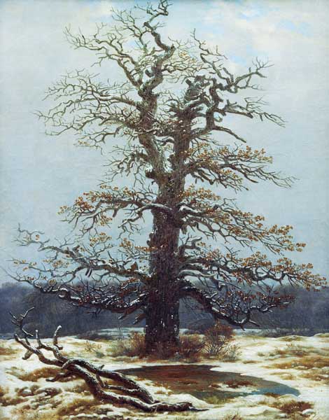 Eiche im Schnee – Caspar David Friedrich Caspar David Friedrich 70x85