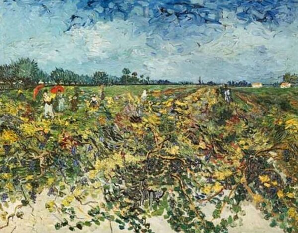 Der grüne Weinberg – Van Gogh Vincent Van Gogh 85x75