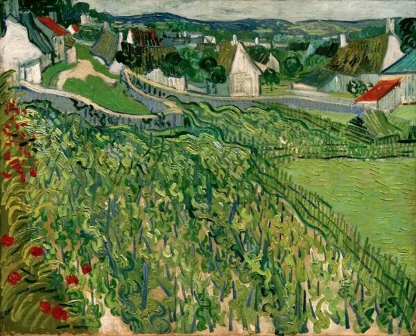 Weinberge von Auvers – Van Gogh Vincent Van Gogh 85x75