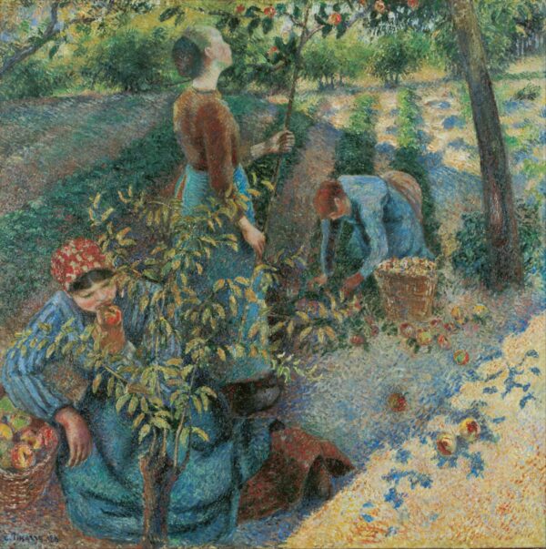 Ernte von Äpfeln – Camille Pissarro Camille Pissarro 70x70