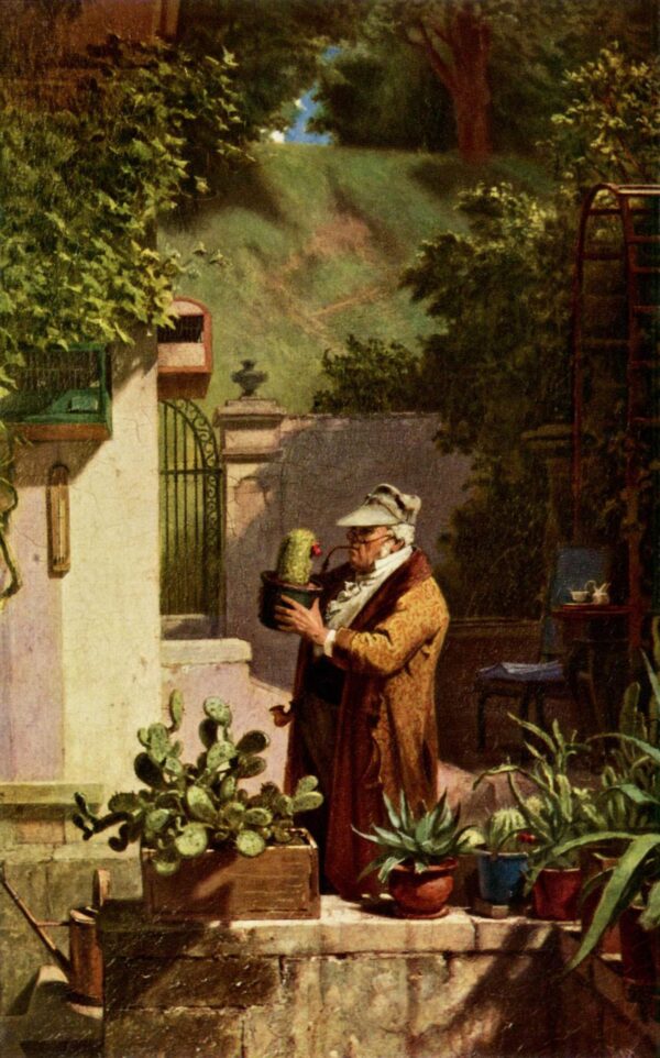 Der Kaktusfreund – Carl Spitzweg Beliebte Bilder 70x105