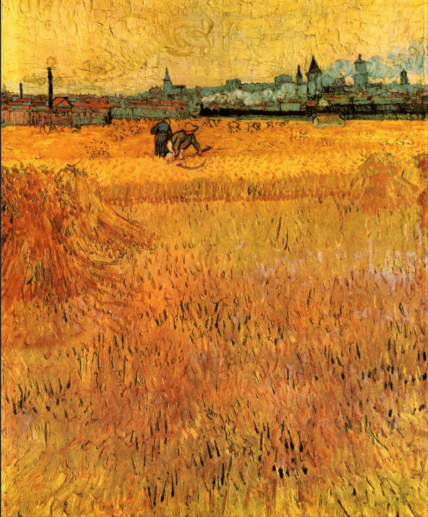 Weizenfeld bei Arles – Van Gogh Vincent Van Gogh 70x85