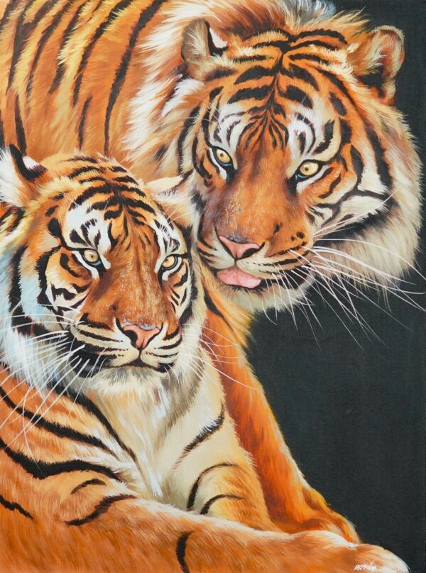 Paar von Tigern – 60 x 80 cm Die Kunstgalerie < 1000 €