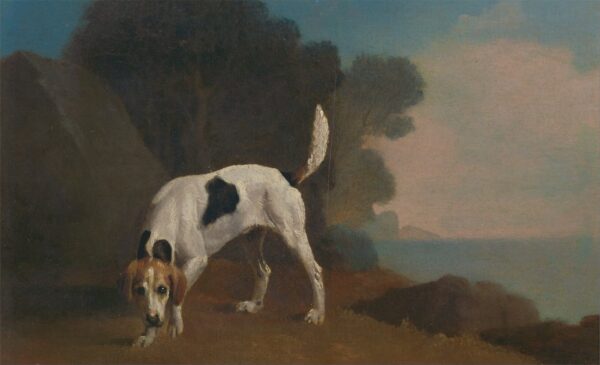 Fuchs- und Jagdhund – George Stubbs George Stubbs