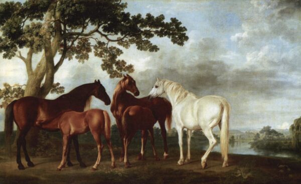 Stuten und Fohlen – George Stubbs George Stubbs