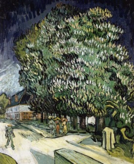 Blühende Kastanienbäume – Van Gogh Vincent Van Gogh 70x85