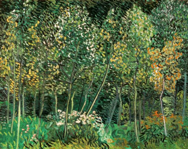 Kleine Wald – Van Gogh Vincent Van Gogh 85x75