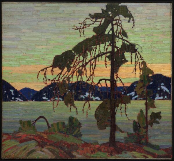 Der graue Kiefer – Tom Thomson Tom Thomson