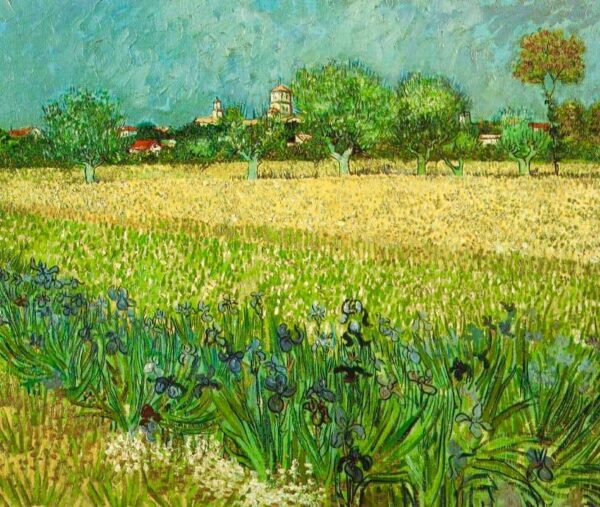 Blick auf Arles mit Iris – Van Gogh Vincent Van Gogh 85x75