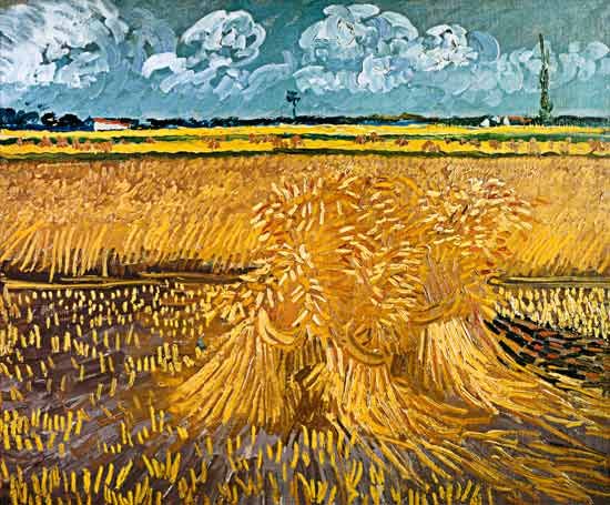 Weizenfeld mit Garben – Van Gogh Vincent Van Gogh 85x75