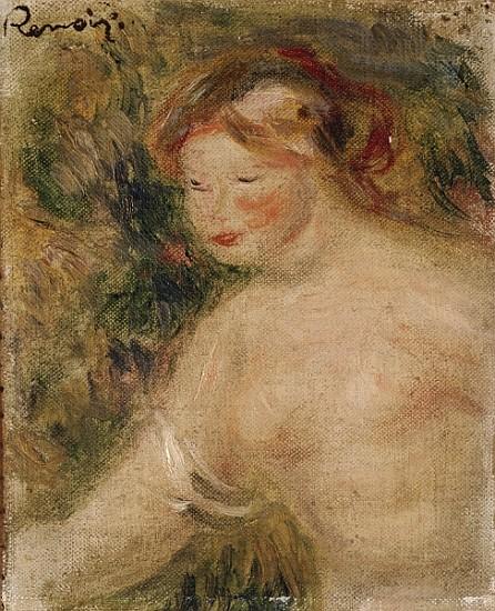 Ein Frauenoberkörper – Pierre-Auguste Renoir Pierre-Auguste Renoir 70x85