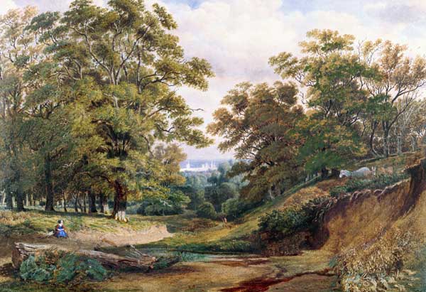 Eine Szene im Bagley-Wald in der Nähe von Oxford – William Turner J.M.W. Turner 105x70