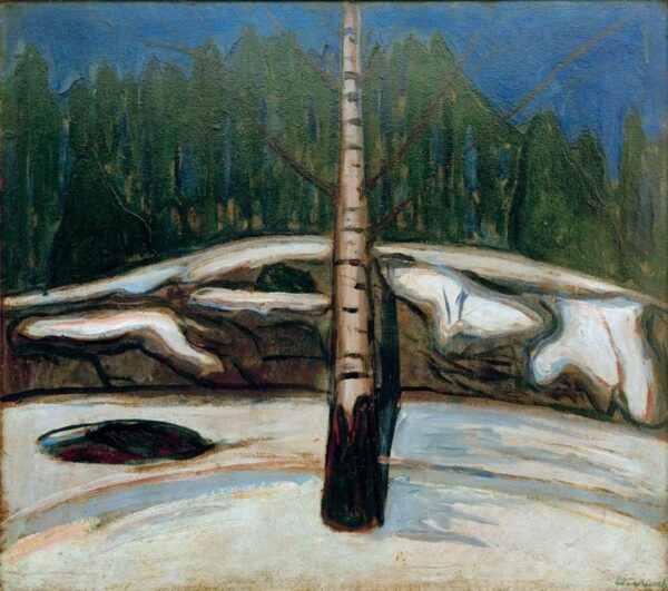 Birke im Schnee – Edvard Munch Edvard Munch 70x70