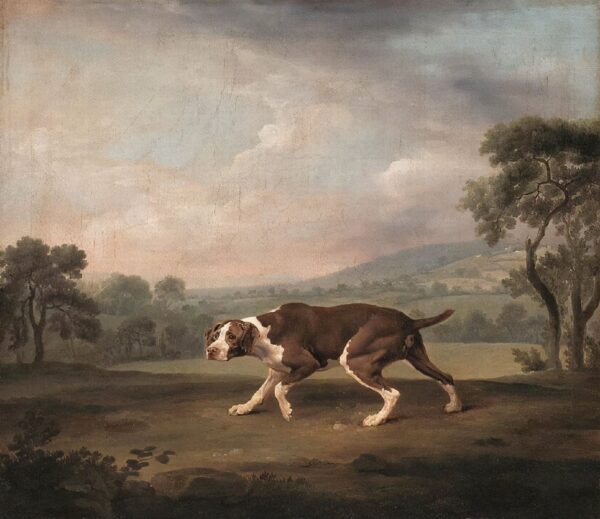 Pointeur Spanisch – George Stubbs George Stubbs