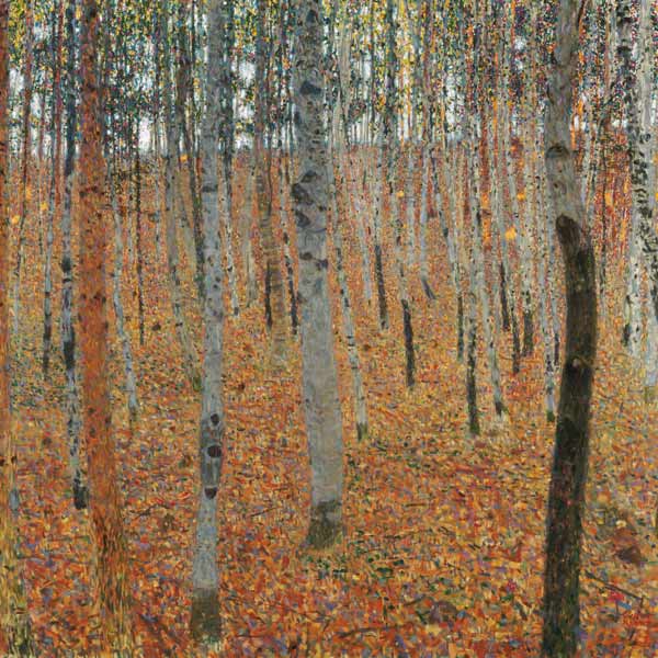 Birkenwald – Gustav Klimt Beliebte Bilder 70x70