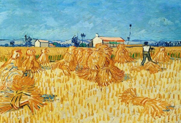 Ernte in der Provence – Van Gogh Vincent Van Gogh 105x70