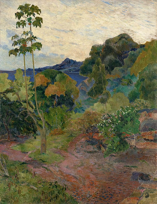 Landschaft von Martinique – Paul Gauguin Paul Gauguin 70x85