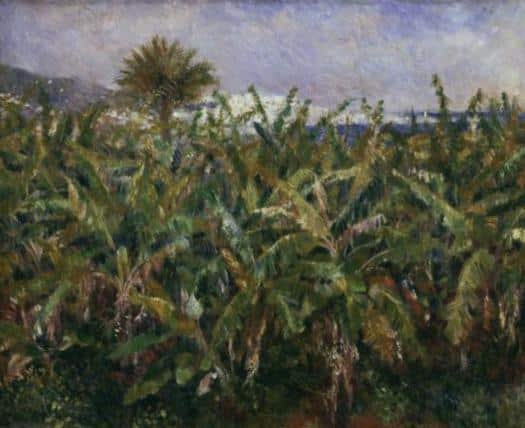 Plantage von Bananen – Pierre-Auguste Renoir Pierre-Auguste Renoir 85x75