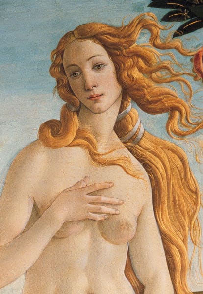 Die Geburt der Venus (Detail) – Sandro Botticelli Beliebte Bilder 70x105