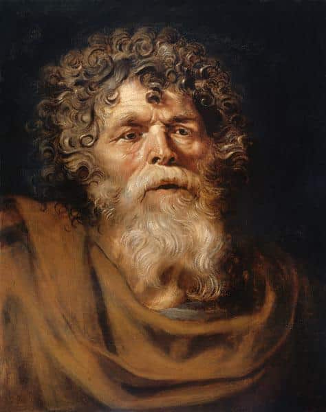 Kopf eines alten Mannes – Peter Paul Rubens Peter Paul Rubens 70x85