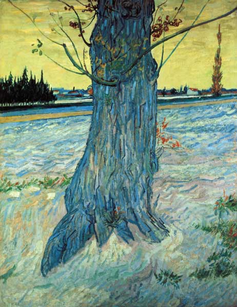 Der Baum – Van Gogh Vincent Van Gogh 70x85