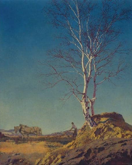 Weißer Birkenbaum – Maxfield Parrish Maxfield Parrish 70x85